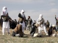 گروه داعش یکی از اعضای کلیدی طالبان را به قتل رساندند و 9 نفر آن ها را دستگیر کردند