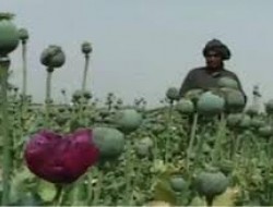 نیمروز گذرگاه اصلی قاچاق مواد مخدر افغانستان به جهان