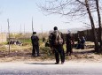 والی قندوز: حلقاتی در درون حکومت از گروه های مسلح غیر مسول حمایت می کنند