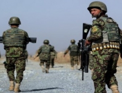 ۴۱ سرباز یک کندک اردوی ملی در ارزگان تسلیم طالبان شدند