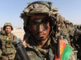 افزایش تلفات "نیروهای امنیتی افغانستان" در سال ۲۰۱۶