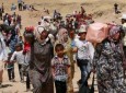 پنج هزار سوری از آغاز عملیات رقه به مناطق امن فرار کرده اند
