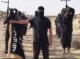 هلاکت سرکرده داعش در دیاله