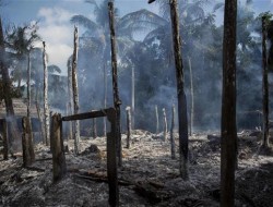 آتش زدن صدها ساختمان متعلق به مسلمانان در غرب میانمار