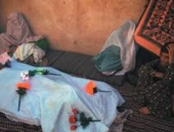 در یک و نیم سال اخیر 1500 تن در هرات خودکشی کرده اند
