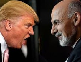 حکومت افغانستان برای برقراری روابط با ترامپ دست‌به‌کار شود