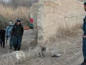 تخریب یک فابریکه مشروبات الکولی در هرات