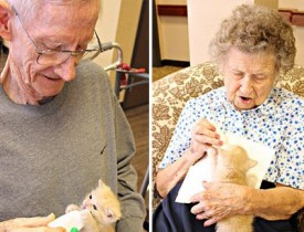 استفاده از حیوان درمانی برای کمک به بیماران مبتلا به آلزایمر