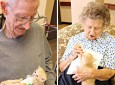 استفاده از حیوان درمانی برای کمک به بیماران مبتلا به آلزایمر