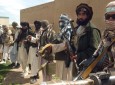 طالبان از پیش شرط بگذرند و با شورای صلح وارد مذاکره شوند