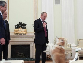ملاقات سگ سخت گیر پوتین با خبرنگاران!