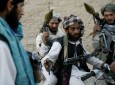 دست رد طالبان بر سینه صلح دولت افغانستان