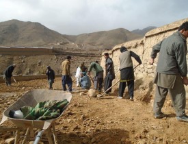 اجرای۳۲۱ پروژۀ حفظ و مراقبت برنامۀ همبستگی ملی در کابل