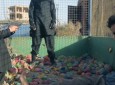 تصاویرِ لحظه به لحظۀ اعدام توسط داعشی ۳ ساله!