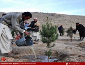 دامنه کوه های شهر کابل سرسبز می شود / کار روی  ساخت سیستم آبرسانی ادامه دارد