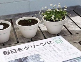 روزنامه ای که تبدیل به گیاه می شود!