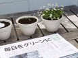 روزنامه ای که تبدیل به گیاه می شود!