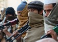 کشته شدن ۳۰ تروریست در زابل
