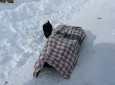 جسد یک کارمند صحی پس از ۲ روز از زیر برف در کوتل حاجیگک پیدا شد