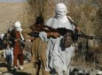 رهبری طالبان، 50 عضو ارشد خود را ترور می کند