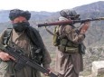 فروش سلاح نیروهای دولتی از سوی طالبان در فراه / طالبان به سلاح روسی مجهز هستند