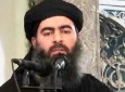 آماده باش داعش و احتمال ورود ابوبکر بغدادی به سوریه