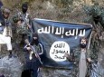 کشته شدن ۳۸ نفراز  اعضای گروه تروریستی داعش در ولایت ننگرهار