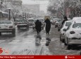 تصاویر/بارش برف سنگین در مشهد مقدس  