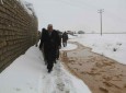 خسارت های هنگفت مالی در پی بارش باران و ریزش برف در هرات