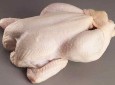 هرات در تولید گوشت مرغ به خودکفایی رسیده است