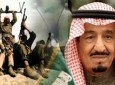 عربستان حامی تروریزم و ریاکار است