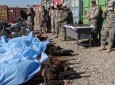 کشته شدن ۴۷ نفر تروریست در عملیات پولیس ملی