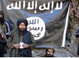 کشته شدن 8 تروریست داعشی در  ولایت ننگرهار