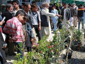 جشن عنعنوی دهقان در بادام باغ کابل برگزار شد