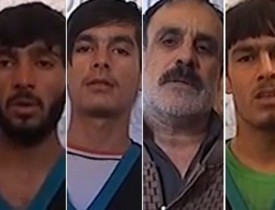 انهدام یک شبکه تروریستی در هرات