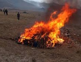 20 تُن مواد بی کیفیت در هرات به آتش کشیده شد