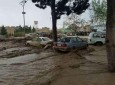 سیل، شهر نشین های هرات را غافل گیر کرد