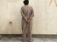 عامل خشونت خیابانی علیه یک بانو در بلخ بازداشت شد