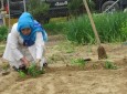 تصاویر/توزیع بسته های تخم سبزیجات و وسایل کشاورزی برای ایجاد باغچه های خانگی به ۶ هزار خانم در زون شمال  