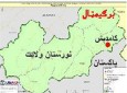 کشته شدن ۵ تروریست پاکستانی در نورستان