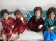 شش کودک پس از تطبیق واکسن پولیو در ارزگان جان باختند