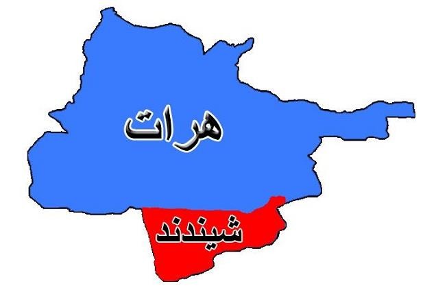 پنجاه و هفت کشته و زخمی از طالبان در شیندند