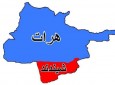 پنجاه و هفت کشته و زخمی از طالبان در شیندند