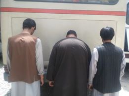 سه فرد بازداشت شده از سوی پلیس هرات