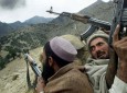 طالبان غور با کدام پول سلاح می‌خرند؟!