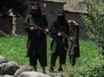 ISIS leaders among 8 killed in Afghan forces operations in Nangarhar