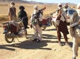 عملیات بهاری طالبان تحت عنوان "عملیات منصوری" آغاز شد