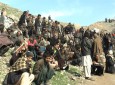 ۶۰ هزار معتاد در هرات و ۳۰۵ بستر ترک اعتیاد