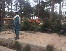 طوفان در هرات باعث جان باختن ۳ عضو یک خانواده شد