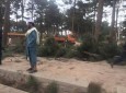 طوفان در هرات باعث جان باختن ۳ عضو یک خانواده شد